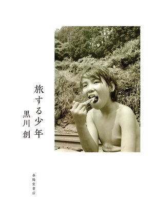 cover image of 旅する少年